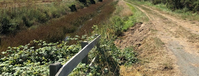 Humboldt Bay Wildlife Refuge is one of Lugares favoritos de eric.