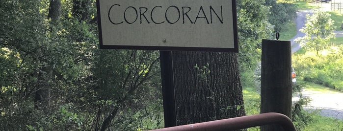 Corcoran Vineyards is one of Tempat yang Disukai Brian.
