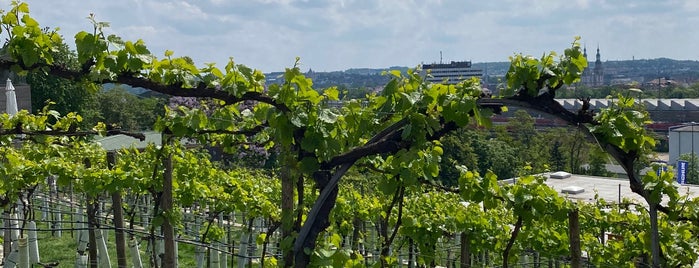 Weingut Am Stein is one of Guide to Würzburg's best spots.