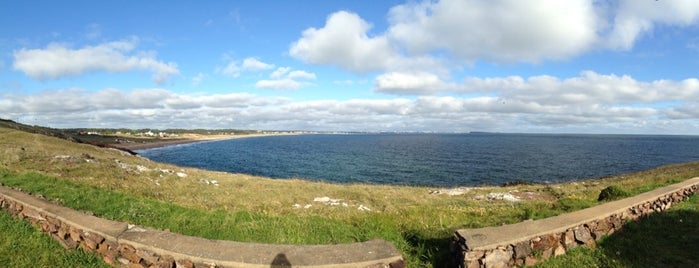 Punta Ballena is one of Uruguay.