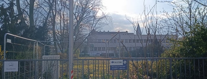 Volksgarten is one of Düsseldorf.