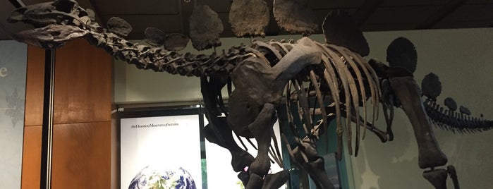 Houston Museum of Natural Science is one of Posti che sono piaciuti a Vasundhara.
