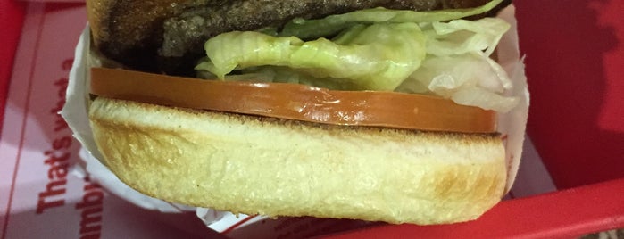 In-N-Out Burger is one of Vasundhara : понравившиеся места.