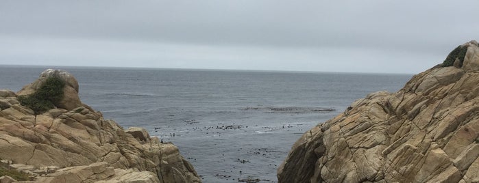 17 Mile Drive is one of Vasundharaさんのお気に入りスポット.