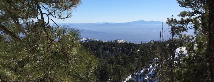 Mount Lemmon is one of Vasundhara’s Liked Places.