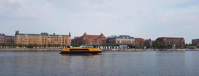 Vinterbad Bryggen is one of Anders Martin : понравившиеся места.