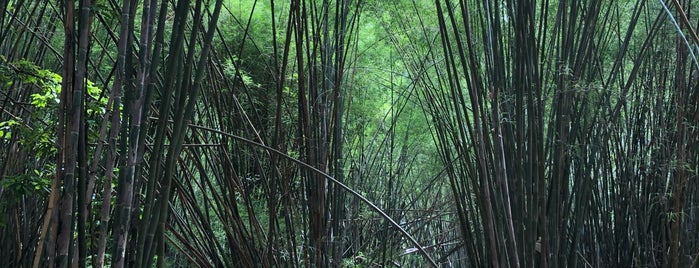 วัดป่าสุคะโต is one of สถานที่ที่ Yodpha ถูกใจ.