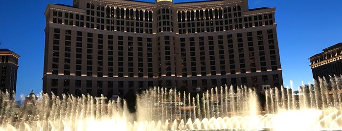 Fountains of Bellagio is one of Lieux qui ont plu à Noah.