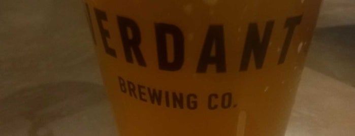 Verdant Brewing Co is one of Posti che sono piaciuti a Mallory.