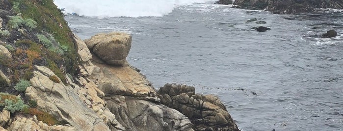 Whaler's Cove is one of California, Goleta - Summer 2018.