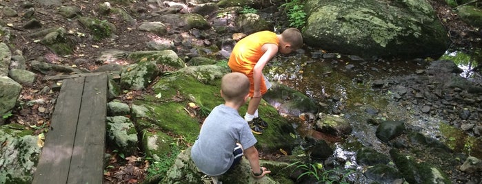 Trout Brook Trails is one of Rachel’s Liked Places.