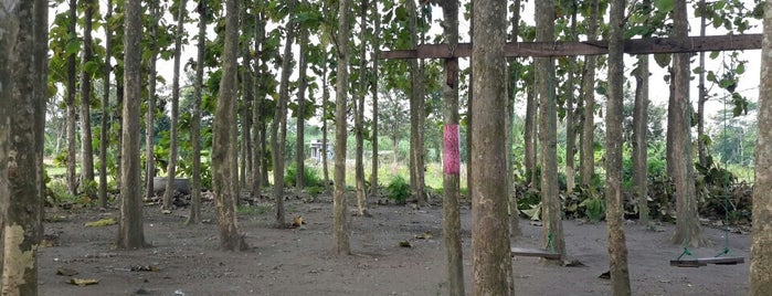 Warung Kebon (Soto Batok Sor Jati) is one of other side of hometown.