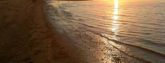 Playa Sanlúcar de Barrameda is one of Playas de España: Andalucía.