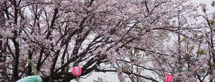 西古松西公園 is one of 公園　岡山市.