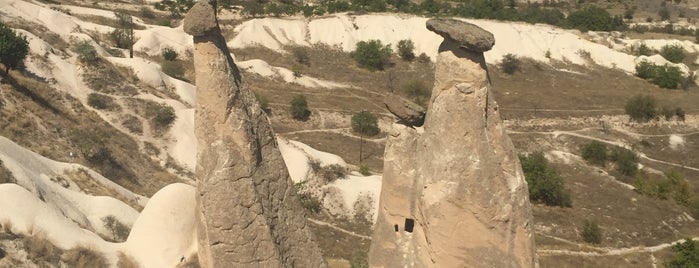 Lieux qui ont plu à Çağhan