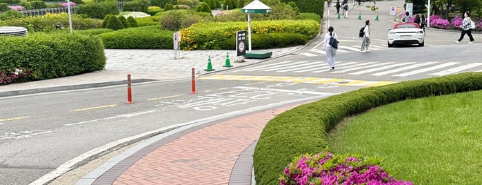 Pfeiffer Hall / Main Hall is one of 이화여자대학교 Ewha Womans University.