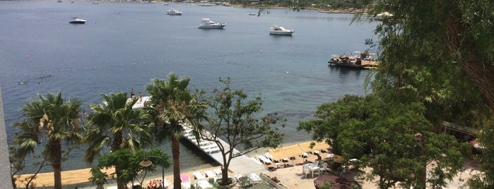 Moon Beach & Lounge is one of bodrum.