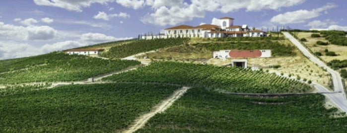 Villa Estet is one of Locais salvos de Serbay.