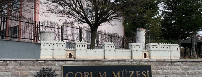 Çorum Müzesi is one of Archaeology Museums of Turkey.