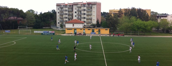 Stadio Comunale Zanni is one of Tempat yang Disukai Mauro.