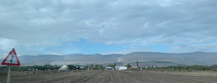 Mount Gilboa is one of Israel & Palestine 🇮🇱🇵🇸.