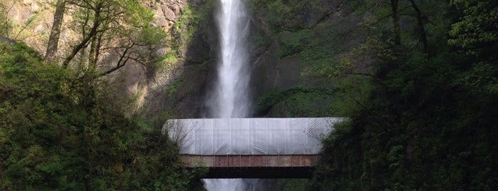 Multnomah Falls is one of Connor's guide to Portland.