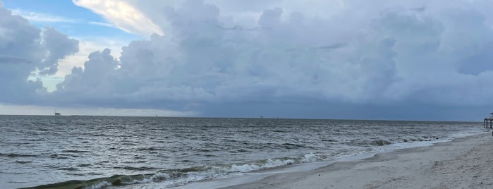 Audubon Bird Sanctuary is one of Dauphin Island Vacation.