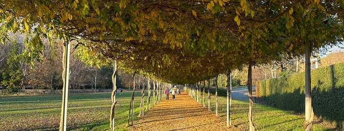 Parque da Cidade Penafiel is one of Locais Favoritos.