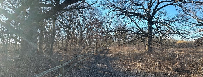 Crabtree Nature Center is one of Forest Preserves.