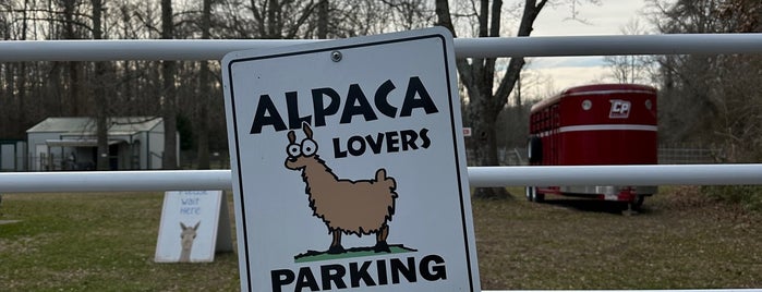 Jersey Shore Alpacas is one of Cape May.