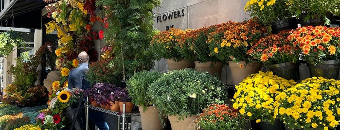 Flower shops