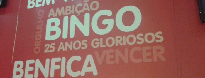 Bingo do Benfica is one of Lisboa cidade mais linda do mundo.
