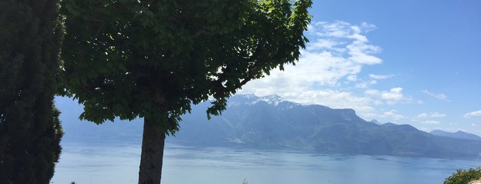 Le Chalet is one of Vevey.