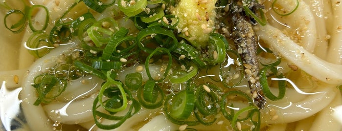 手打麺や 大島 is one of Udon.