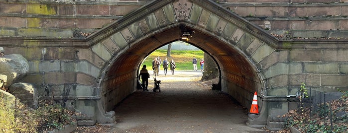 Greywacke Arch is one of Central Park.