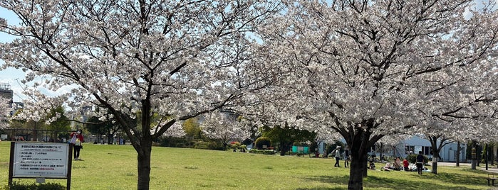 東糀谷防災公園 is one of よく行く公共施設.