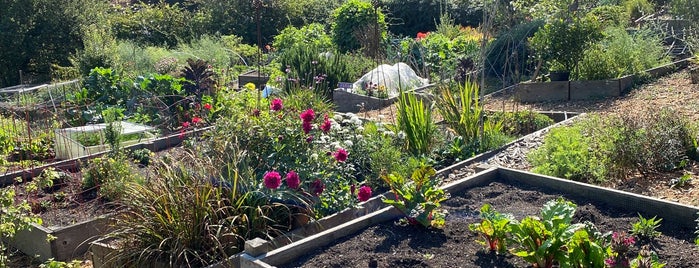 Clipper Terrace Community Garden is one of ACT–BAY | Landmark.