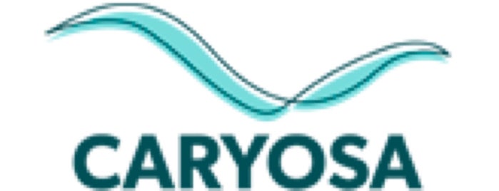 Caryosa Hygienic Solutions is one of Posti che sono piaciuti a Sergio.
