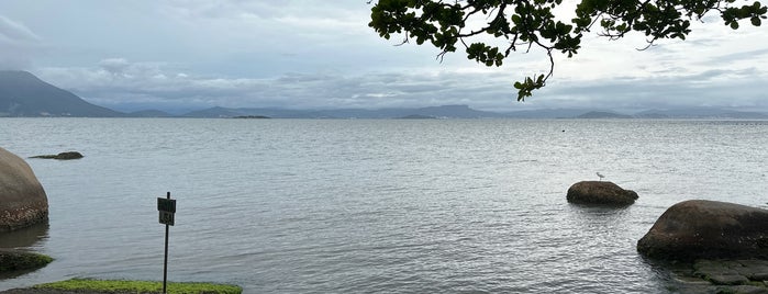 Praia do Ribeirão da Ilha is one of Lugares que vale la pena conocer.