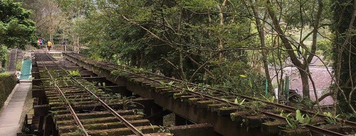 林田山林業文化園區 is one of สถานที่ที่ Dan ถูกใจ.