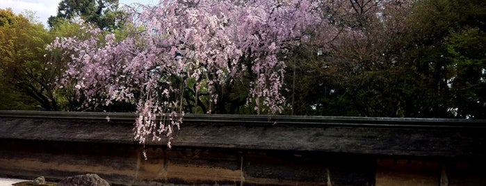 วัดเรียวอันจิ is one of Kyoto.