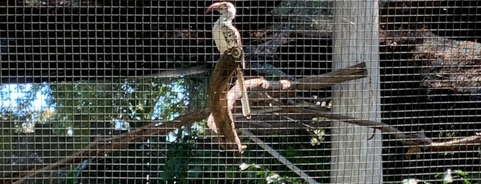 Tampa's Lowry Park Zoo is one of Favorite Tampa Bay Area Places.