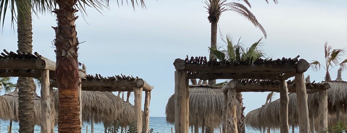 Playa Padre is one of VEGAN 🌱 MARBELLA.
