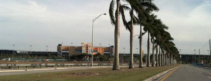 Homestead-Miami Speedway is one of Zoom ... zoom!.