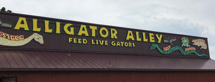 Alligator Alley is one of Dells things to do.