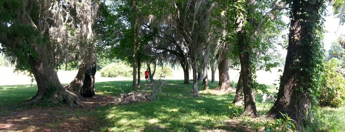 The Greenway is one of Top 10 favorites places in Tallahassee, FL.