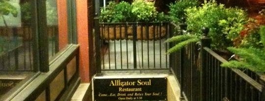 Alligator Soul is one of Savannah.