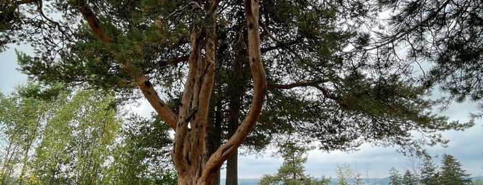 Гора Кухавуори is one of ⛰ сердоболь.