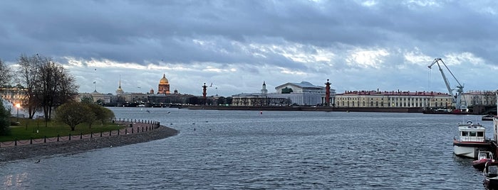 Кронверкский пролив is one of สถานที่ที่ Alexandra ถูกใจ.