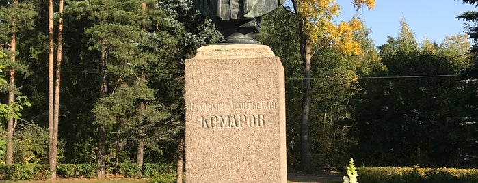 Памятник В. Л. Комарову is one of Отдых и развлечения.